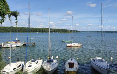 IMG-20260521-WA0004