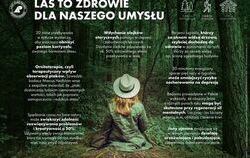 Zdjęcie do Bezpieczne wakacje w lesie 