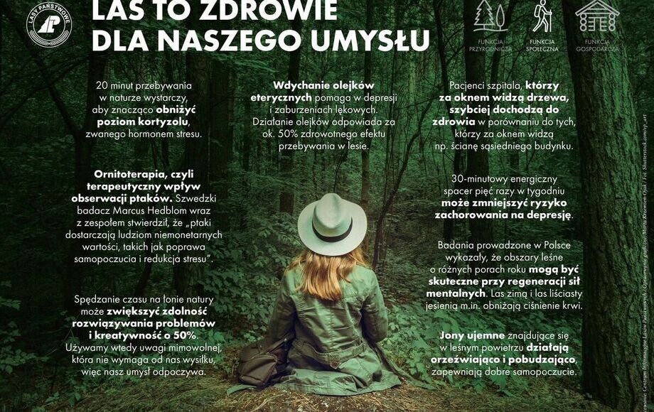 Zdjęcie do Bezpieczne wakacje w lesie 