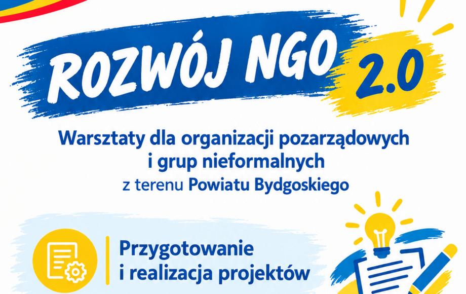 Zdjęcie do ROZW&Oacute;J NGO 2.0