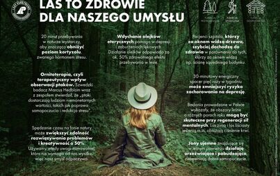 Zdjęcie do Bezpieczne wakacje w lesie 