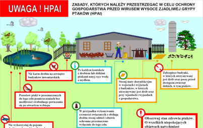 Zdjęcie do INFORMACJA DLA HODOWC&Oacute;W DROBIU